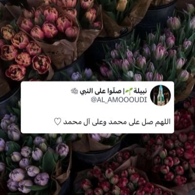 445Saroo's profile picture
