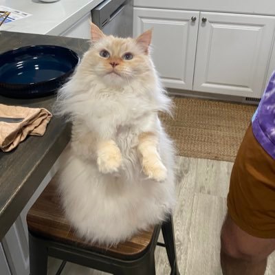 Juju and Cleo's profile picture