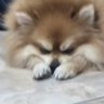 Profilbild von Lucas VB