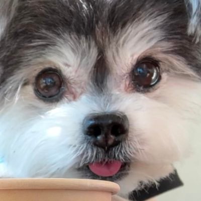 깜𝙕ㅣ's profile picture
