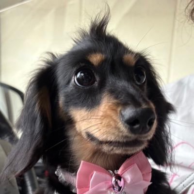 rei0927miu's profile picture