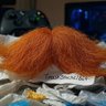 Profilbild von TrashStache1864