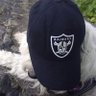 Jorge's profile picture