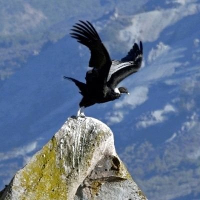 tenea12d's profile picture