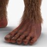 Фото профиля Sasquatch