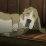 Profilbild von オシイヌ