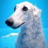 The Blue Borzoi . Le Grand Bleu . Riga-Latvia 的头像