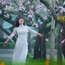 Yến Tiên's profile picture