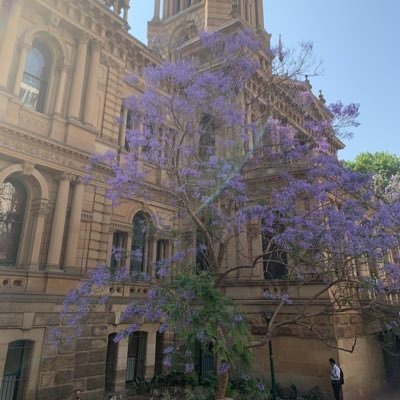 bluedragon915's profile picture