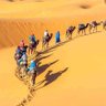 Snw UAE ... 🇦🇪's profile picture