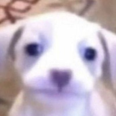 옥례's profile picture