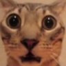 MOKIEDOKIE profil fotoğrafı