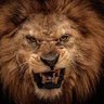 Фото профиля Marcel Boon