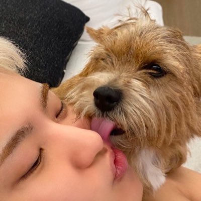 🐯's profile picture