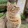 Rıfat's profile picture