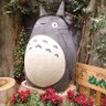 Фото профиля まねきねこスペシャル