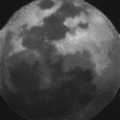 ELYSIUM's profile picture