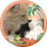 JJ's profile picture