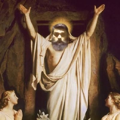 🐥 Pollowsky Resucitado ☦️'s profile picture