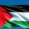 Karema Elmarasy's profile picture