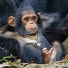 Profilbild von Swaganomics