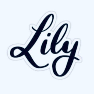 Lily__Ray's profile picture