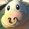 NotRobotic's profile picture