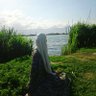 Profilbild von يَـارا