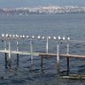Profilbild von Marmara41