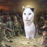 Hairless_grizzly_bear's profile picture