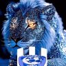 زعيم العالميه🤐💙👍🏿 的头像