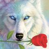 Alt_Tabo's profile picture