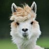 William L's profile picture