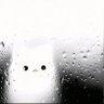 正经子君 的头像