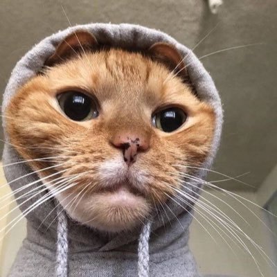 makanteroszz's profile picture