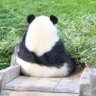 れんり 的头像