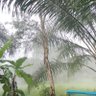 ผู้ชาย 的头像