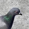 Фото профиля やま