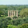 Ayman البطاينه صادق's profile picture