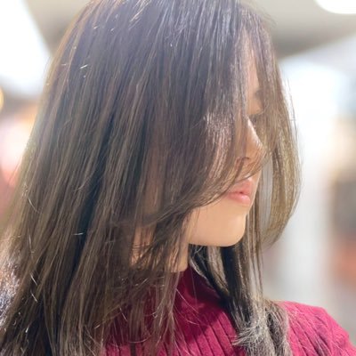 こしん¦社労士受験生✐☡'s profile picture