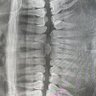 Фото профиля あがぱんさす
