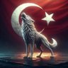 Yasin Afşaroğlu's profile picture