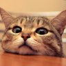JST profil fotoğrafı
