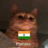 Aryan patel's profile picture