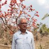 Madan Singh Sindal profil fotoğrafı