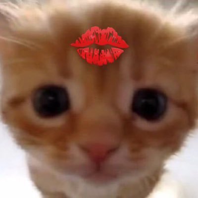 jjaep12's profile picture