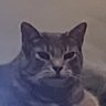 Jakub 🙂 profil fotoğrafı
