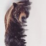 Kev's profile picture