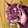 Sheena's profile picture