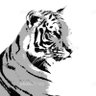 虎's profile picture